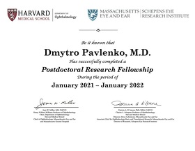pavlenko7