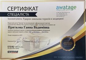 Сертификат (Приткова А.В.)