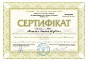 Мищенко Алена Юрьевна - Сертификаты 15.1