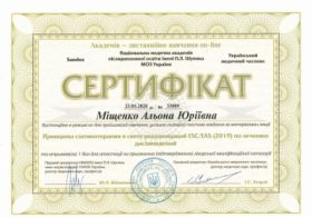 Мищенко Алена Юрьевна - Сертификаты 9.1