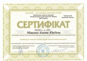 Мищенко Алена Юрьевна - Сертификаты 22.1