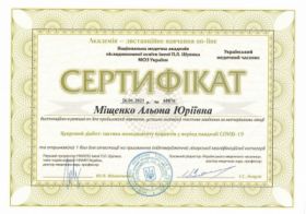Мищенко Алена Юрьевна - Сертификаты 23.1