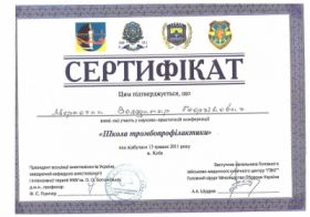 Меркотан Владимир Георгиевич (сертификат 2)