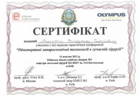 Меркотан Владимир Георгиевич (сертификат 3)