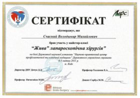 Счастный Владимир Михайлович (сертификат 10)