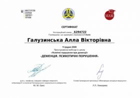 Галузинская Алла Викторовна - Сертификаты 3.1