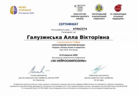 Галузинская Алла Викторовна - Сертификаты 6.1