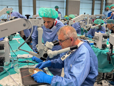 Salzburg Weill Cornell Seminar in Otology and Temporal Bone Surgery