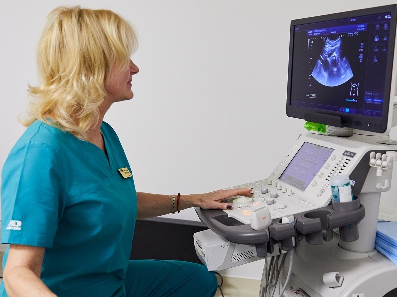 УЗД нирок УЗД нирок