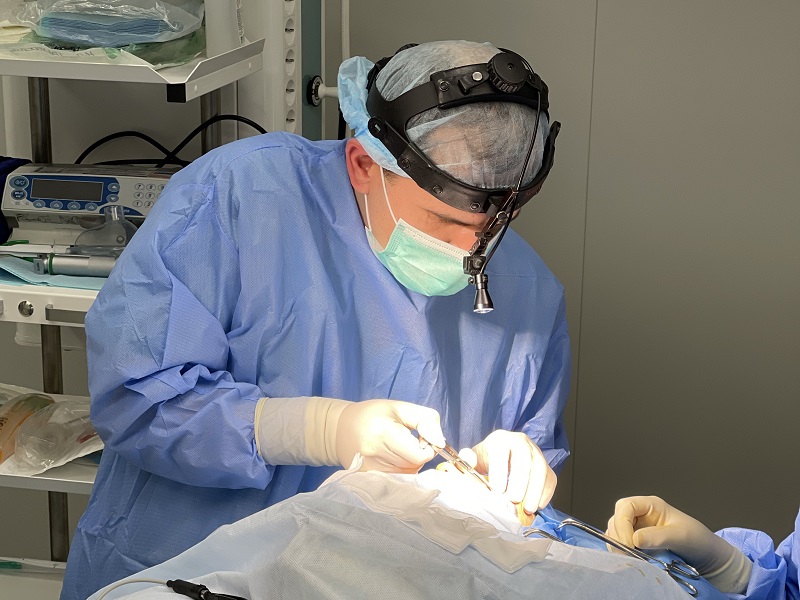 пластика носа