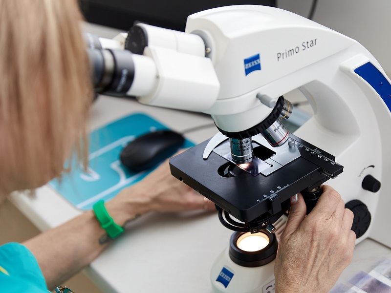 гістология