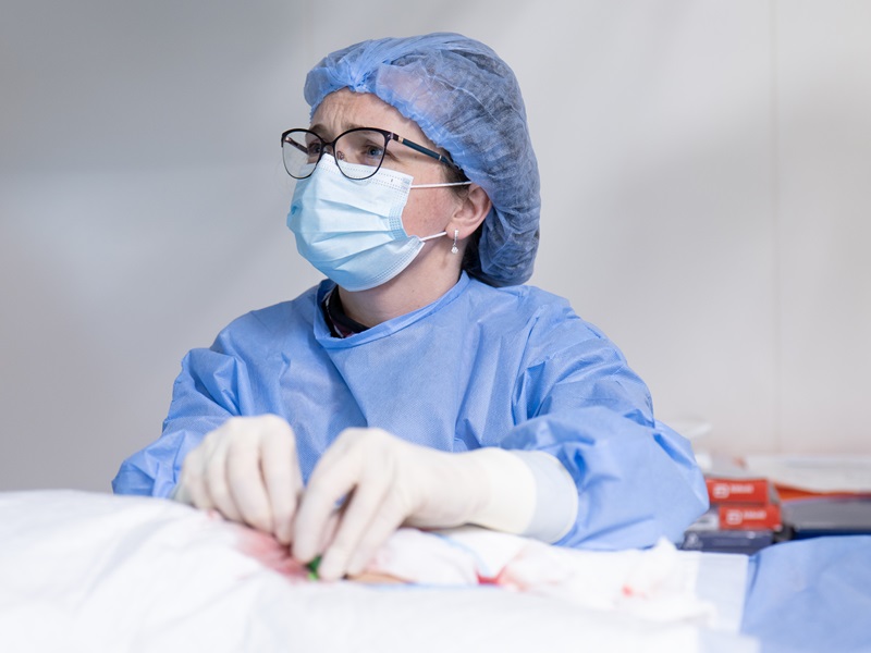 ендоваскулярна хірургія