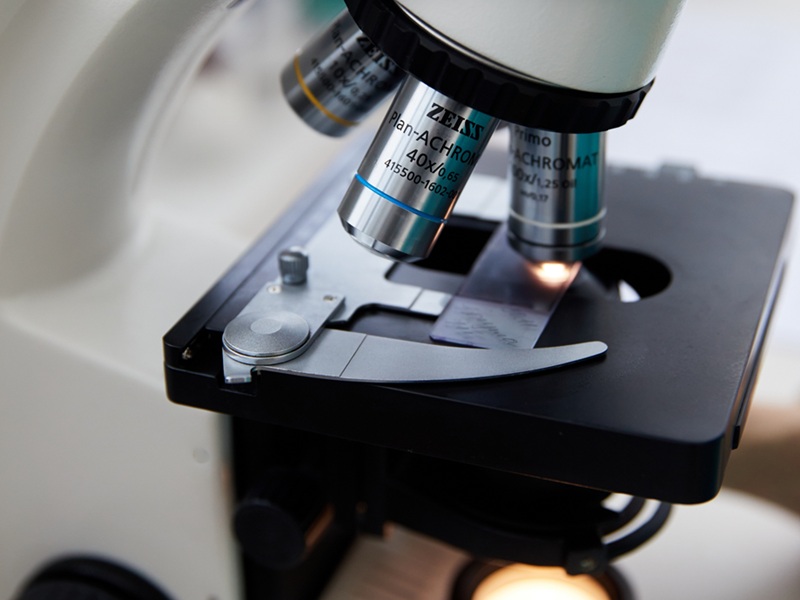 копрограма копрограма