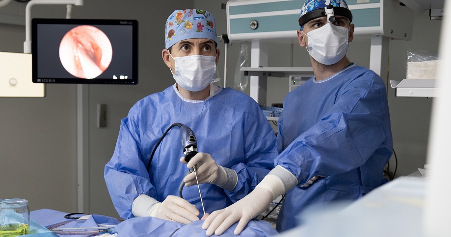 Патогенез викривлення носової перегородки